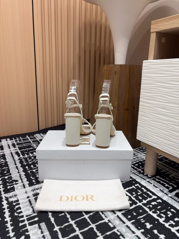 Dior Shoe 